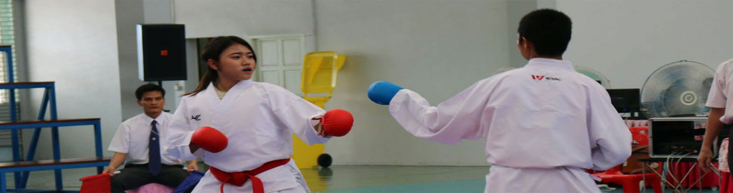 15Karatedo.jpg